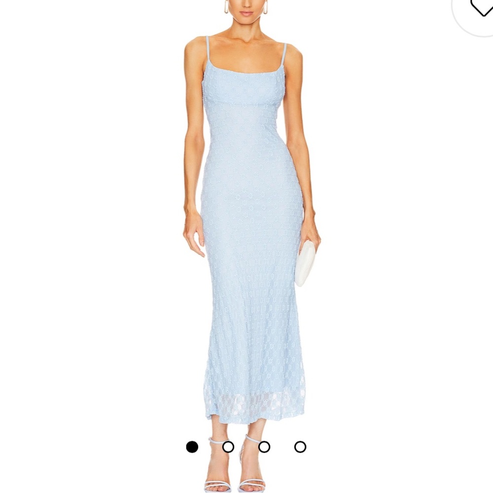NWOT-Adoni Mesh Midi Dress